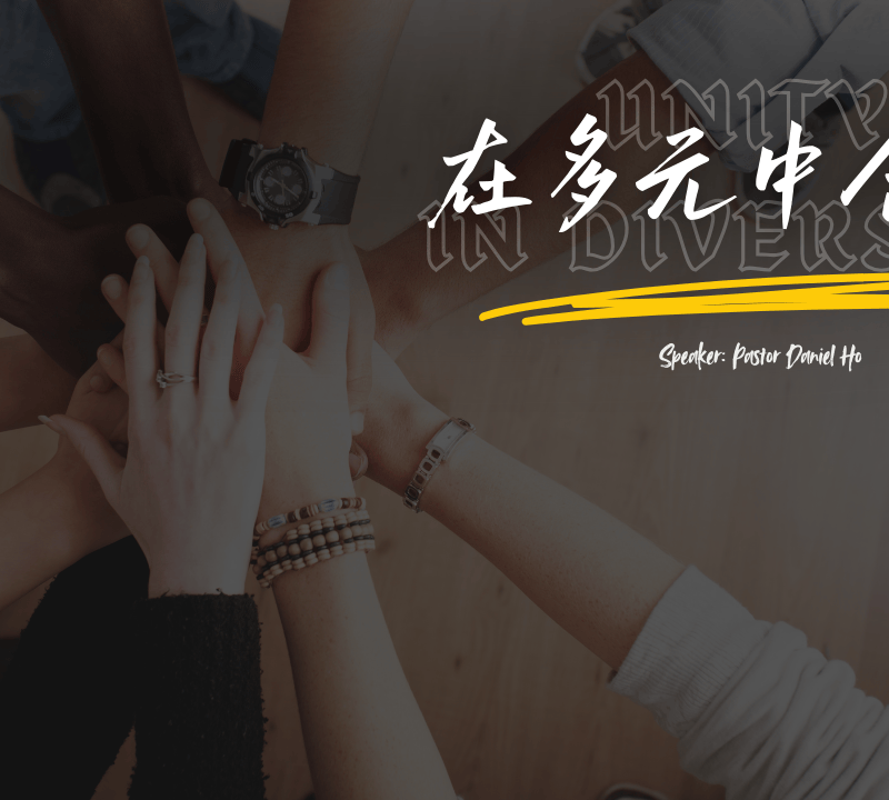在多元中合一
