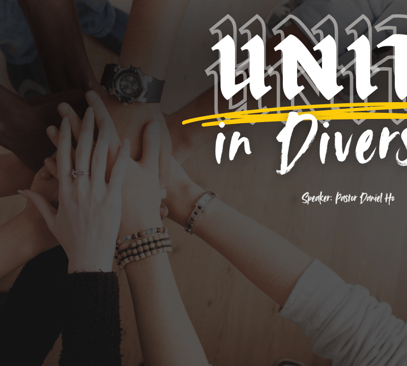 UNITY IN DIVERSITY