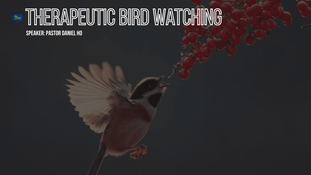 Therapeutic Bird Watching