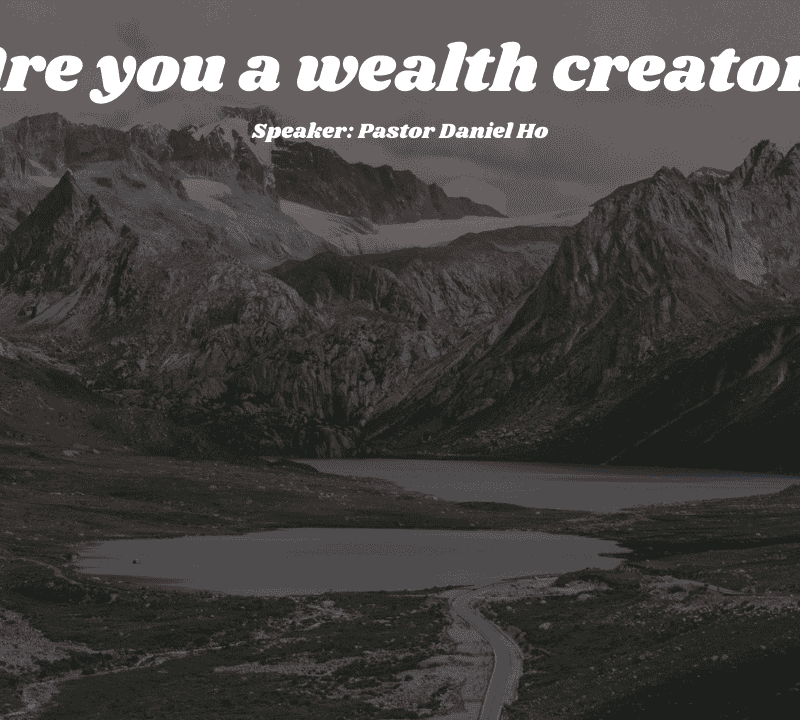 Are you a wealth creator?