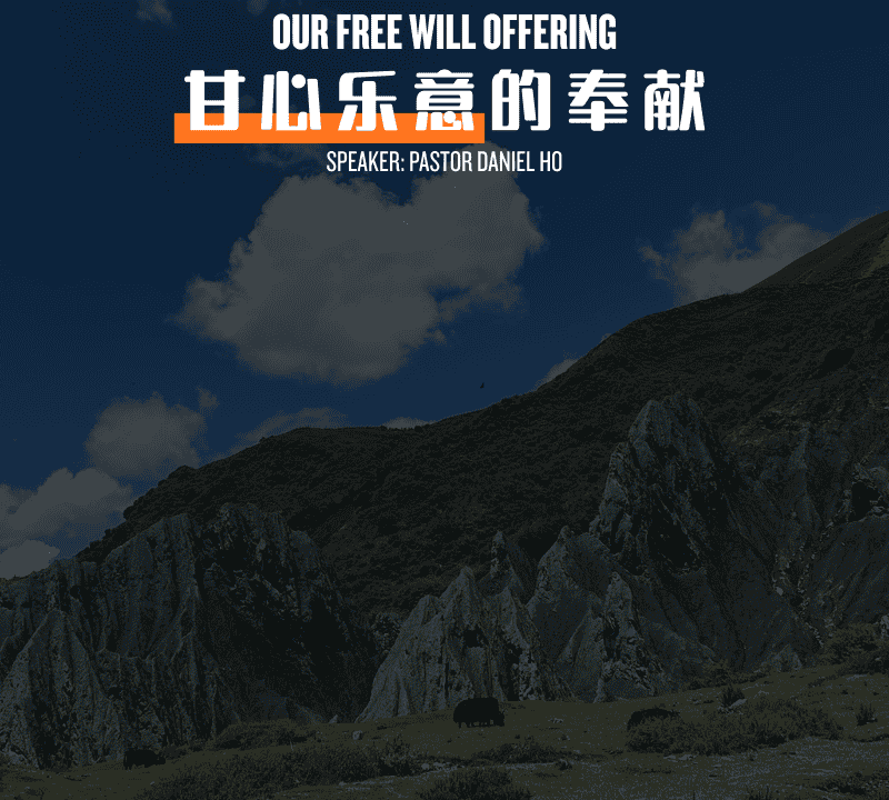 甘心乐意的奉献