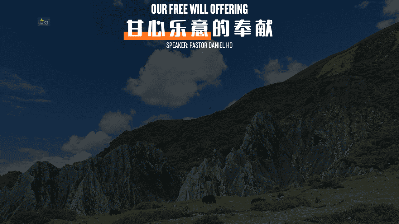 甘心乐意的奉献