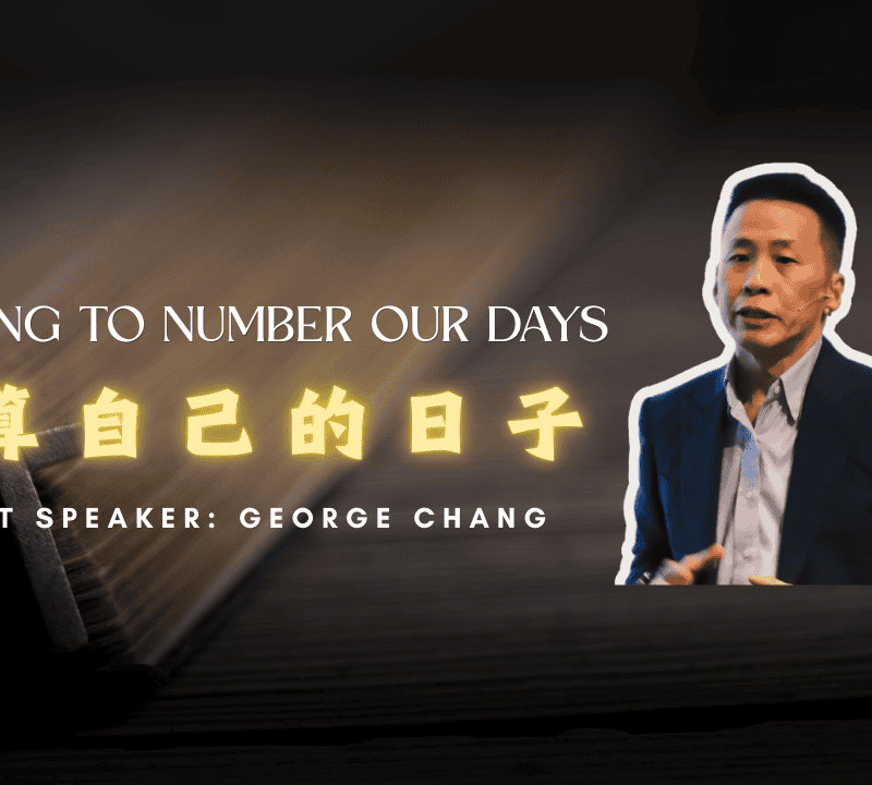 数算我们的日子