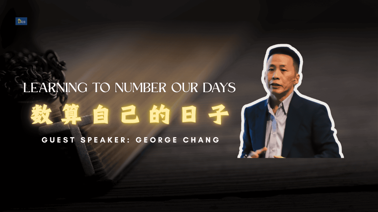 数算我们的日子