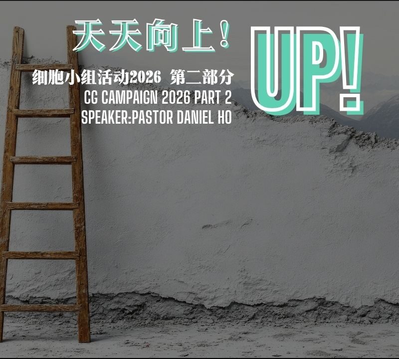 UP! 细胞小组活动 2026 第二部分