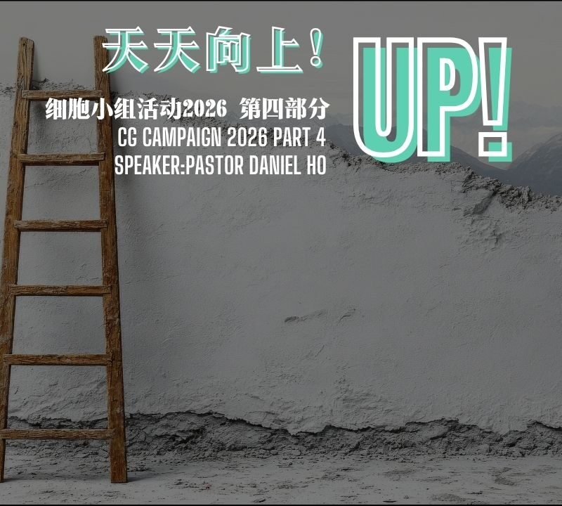UP! 细胞小组活动 2026 第四部分