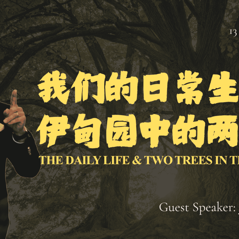 我们的日常生活与伊甸园中的两棵树
