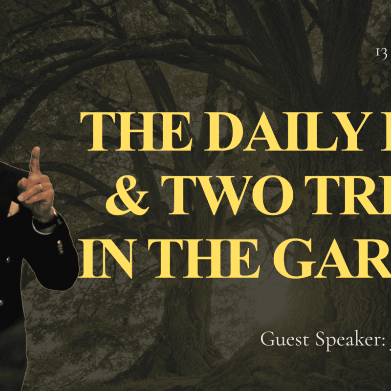 Our Daily Life & the TWO TREES in the Garden