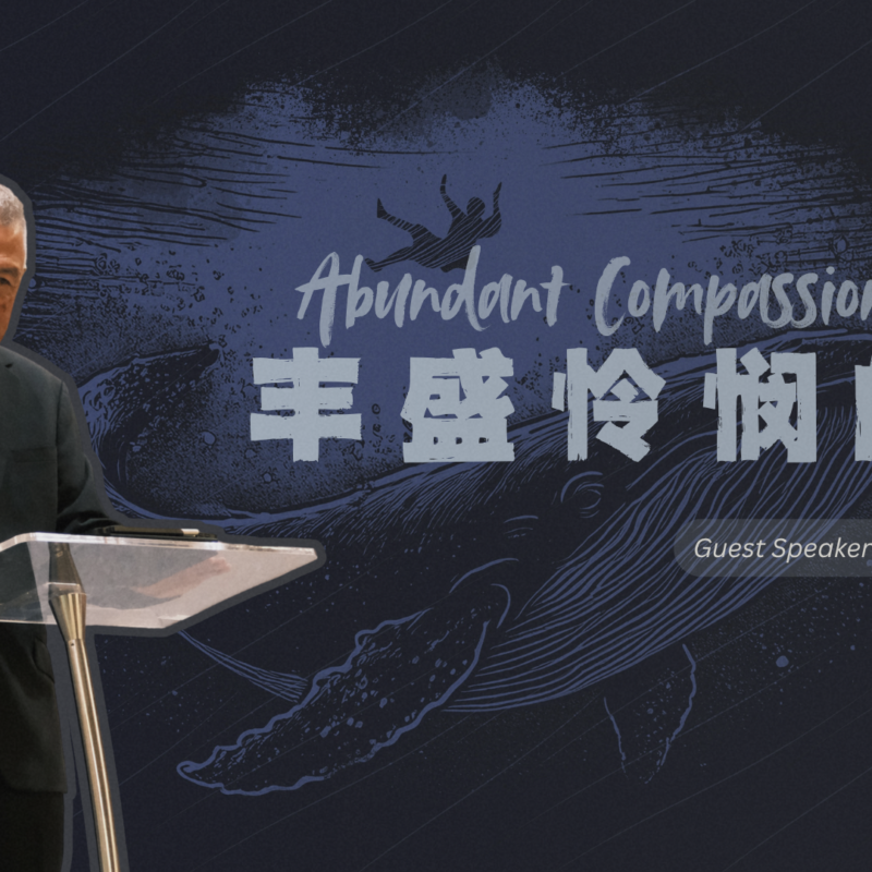 丰盛怜悯的爱