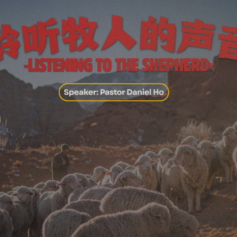 聆听牧人的声音