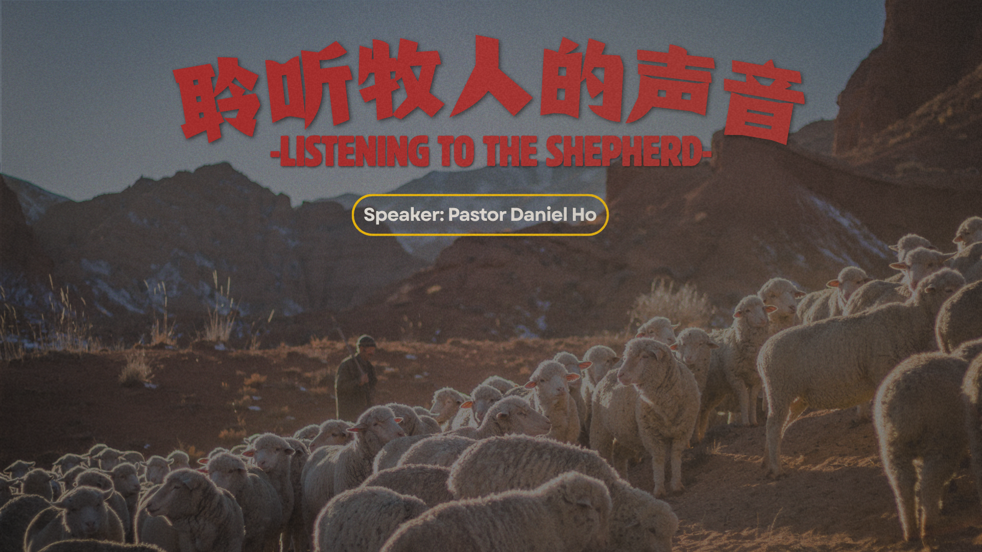 聆听牧人的声音