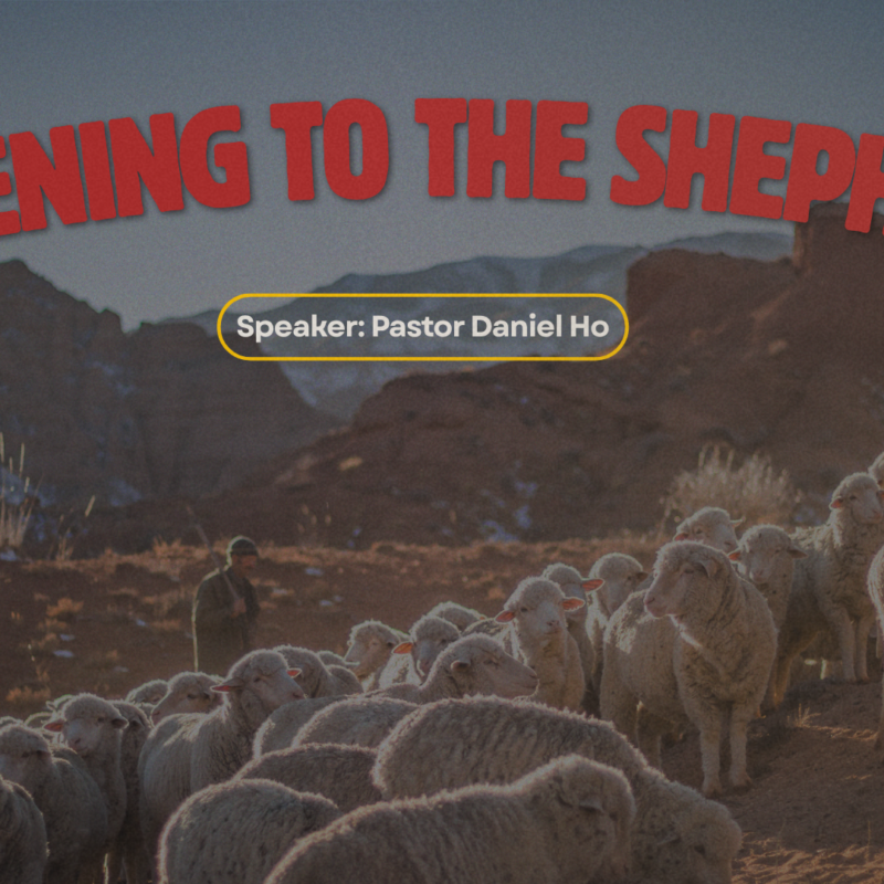 Listening to the Shepherd