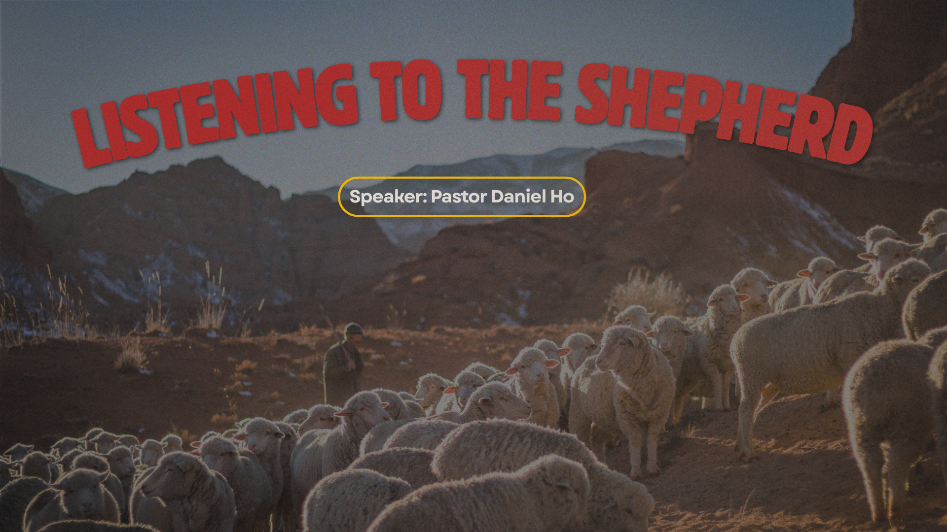 Listening to the Shepherd